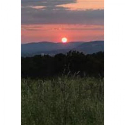 Thomas Hose Obituary | Cremation Services of Pennsylvania